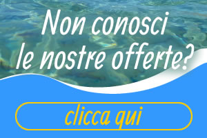 Contattaci per le offerte